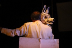 White Dog 9 * 6240 x 4160 * (5.98MB)
